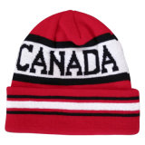 Fashion Knitted Hat with Logo NTD16f