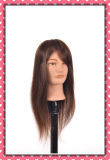 Hot 100% Human Hair Mannequin Head 20inches for Beauty School