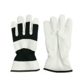 Leather Hand Protection Work Glove
