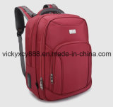 Big Capacity Business Travel Leisure Sports Computer Laptop Backpack Cy3574)