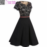 Lace Hollow Stitching Zipper Short Sleeve Dress L36159