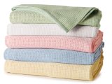 Natural Cotton Softness Baby Blankets with Solid Color (DPF10752)