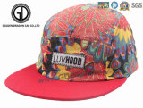 High Quality 2016 Colorful Hiphot Camper Hat Snapback Cap for Boys & Girls