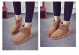 Classic Winter Shoes Boots for Women