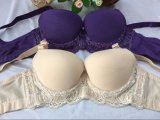 Lace Padded Bra Lady Sexy Lingerie with Lace
