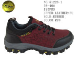 No. 51223 Leather Upper Lady's Hiking Shoes Stock