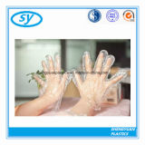 Disposable Polythene PE Gloves Washing Restaurant Daily Use