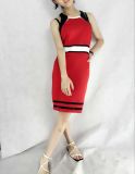 Hot Style Women's Knitted Fashion Dress with Assorted Colors