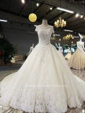Aoliweiya Sleeveless A Line Wedding Dress