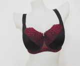 Polyester and Cotton Lace Trim for Women Bra
