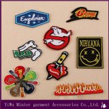 Lot /Mix Style Embroidered Sew Iron on Patches Badge Fabric Bag Clothes Applique Craft Transfer