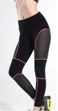 2017 Netting Yoga Sports Pants for Women Running Pants