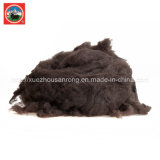 Combing /Carded Brown Yak Wool/Cashmere Fabric/Textile/ Wasted Raw Material