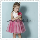 Latest Girls Dress Lovely Design for Little Girl Cute Fashion Casual Dress