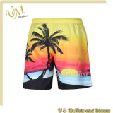 Unisex Swimwear Surf Board Beach Comfortable Quick Dry Shorts Pants