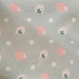 100%Cotton Flannel Printed Fabric for Ladies Pajamas