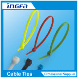 Self-Locking Colored Nylon Cable Wrap Ties for Indoor and Outdoor Bundle