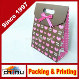 Gift Paper Bag (3217)