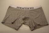 OEM New Style Men's Underwear