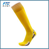 Colorful Soccer Socks for Football Game