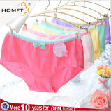 Fancy Colourful Cotton Ventilate Sweet Young Girls Triangle Panties Girls Underwear Panty Models