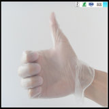 Disposable PE Gloves PVC Examination Gloves