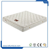 Natural and Hot Sale Foam Natural Latex and Coconut Mattress with The Price of Mattress in China