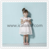 Fancy Lace Cap Sleeve Princess Girls Birthday Dress for Children