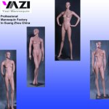 Realistic Female Mannequin (YZF503)