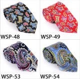 Fashionable 100% Silk /Polyester Printed Tie Wsp-48