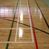 Multi-Purpose Indoor PVC Sports Flooring Roll