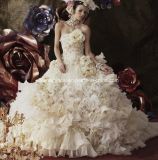 Royal Princess Wedding Ball Gown Flowers Lace Applique Quinceanera Dresses Z5074