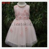 Frock Baby Embroidery Pink Little Flower Girls Dress for Party Dresses