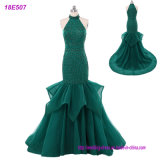 New Modal Sexy Ladies Style Chiffon Cheap Evening Gowns