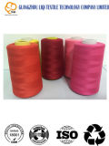 Embroidery Sewing Thread for Sewing Machine Using 75D/2 Polyeater Material