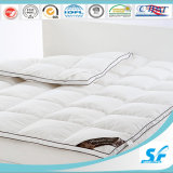 Luxury Fancy Goose Down and Feather Comforters Deuvts
