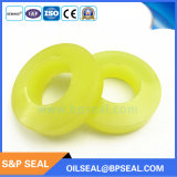 PU Seals / PU Elastic Cushions