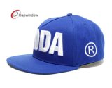 Kid Size Snapback Hat with 3D Embroidery New Style