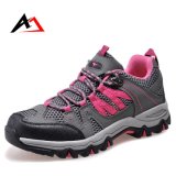 Hiking Shoes Outdoor Footwear Sports for Men Climbing (AK8907)
