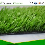 Sports Grass Artificial Grass Carpet for Soccer (SV)