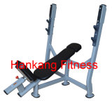 Signature Line, Protraining Equipment, Gym Machine-Olympic Incline Bench (PT-943)
