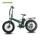 36V/500W High Speed Folding Mountain Electric Bicycle for Man