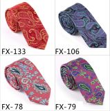 New Design Fashionable Novelty Paisley Silk/Polyester Necktie (Fx-133)