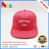 Guangzhou Hats Factory Good Reputation 5-Panel Wool Winter Cap with Embroidery