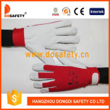 Ddsafety 2017 Pig Skin Cotton Back for General Working Place Gloves