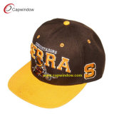 New Design Snapback Hat with 3D Embroidery (cw-0796)