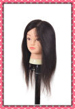 Hot Sale Human Hair Training Head 20inches for Beauty School