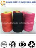 Machine Using Fabric Thread 100% Polyester Embroidery Sewing Thread