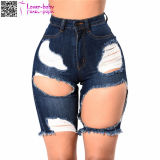 European High Quality Ripped Rivet Latest Cat Fringed High Waist Women's Short Jeans Pants L538