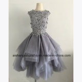 Tulle Lace Appliqued Sleeveless Prom Party Gown Dresses